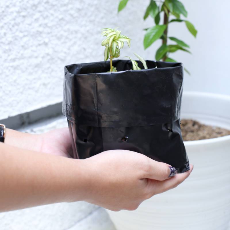 Plastik polybag
